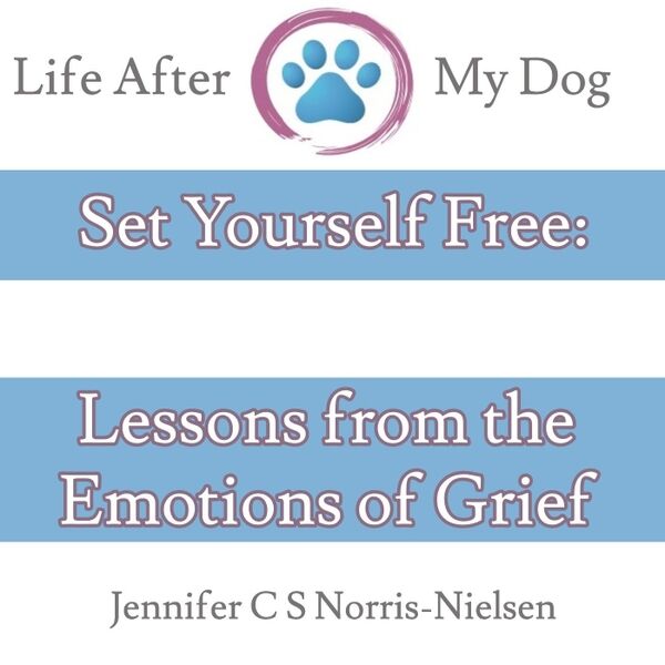 Cover art for Set Yourself Free: Lessons from the Emotions of Grief